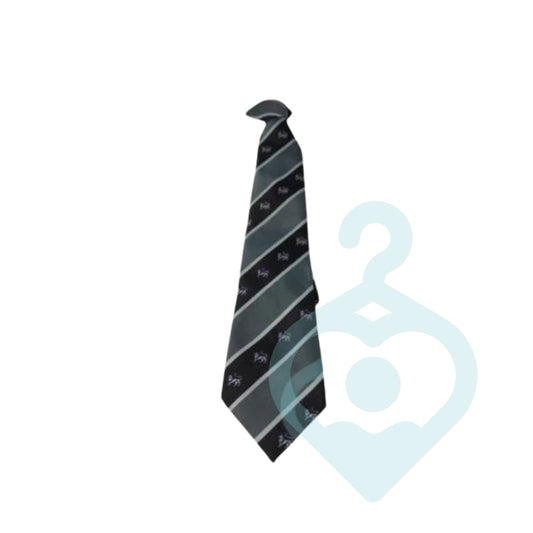 Academy@Worden Tie