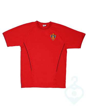 Bishop Rawstorne Male Fit PE T Shirt