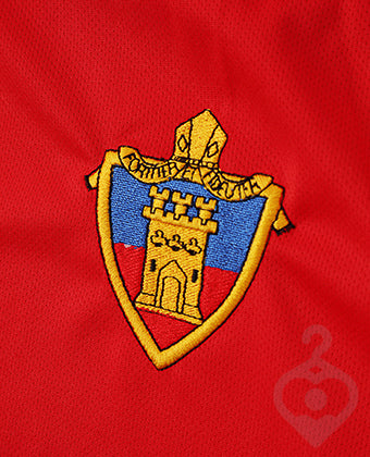 Bishop Rawstorne Male Fit PE T Shirt