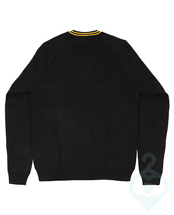 Shevington High Y11 Jumper NEW