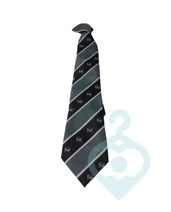 Academy@Worden Tie