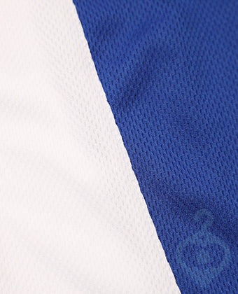 St Mary's Leyland PE Polo