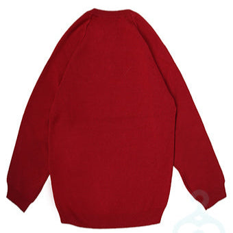 Standish High Y11 Jumper