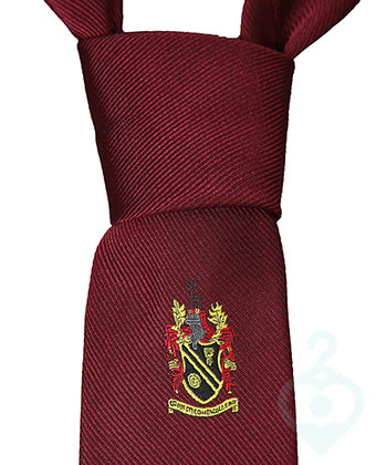 Shevington High Tie