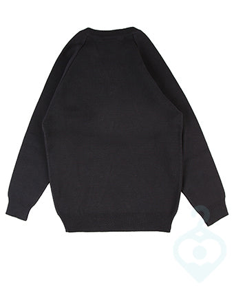 St Joseph's V-Neck Sweatshirt