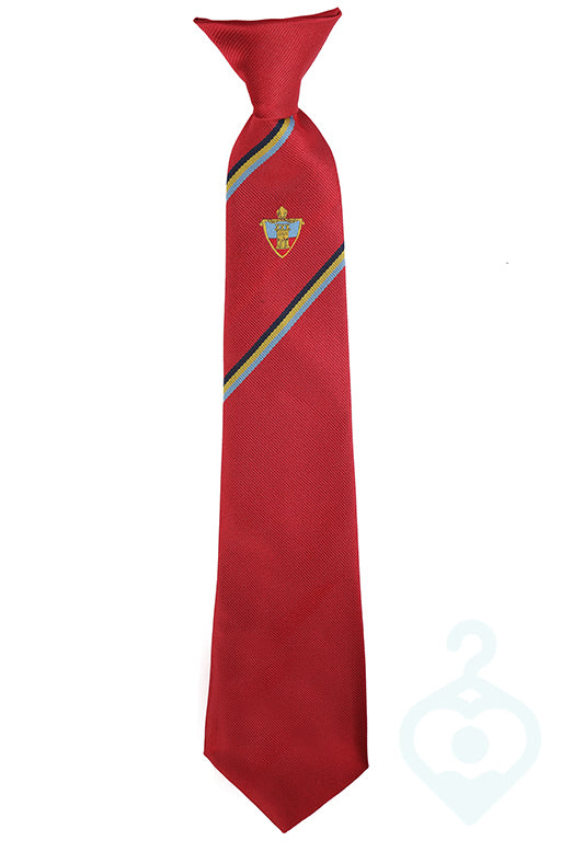 Bishop Rawstorne Prefect Tie