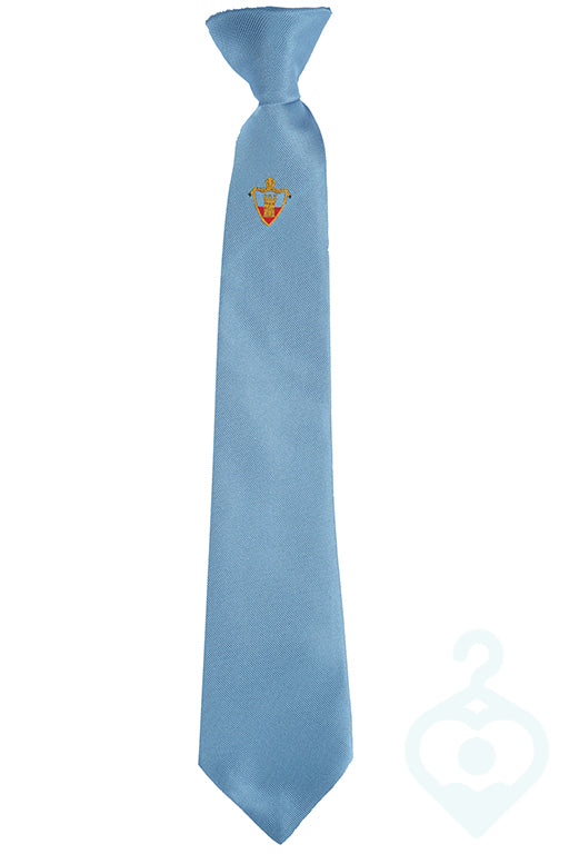 Bishop Rawstorne Y11 Tie