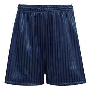 Navy Shadow Stripe Primary PE Shorts