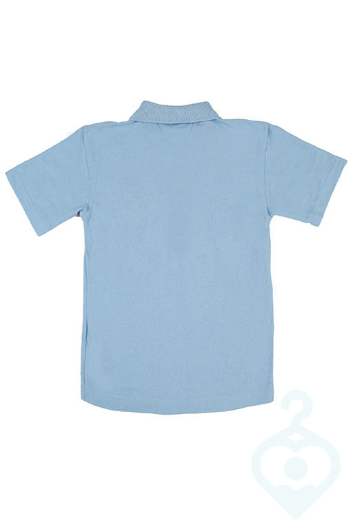 St Lukes PE Polo