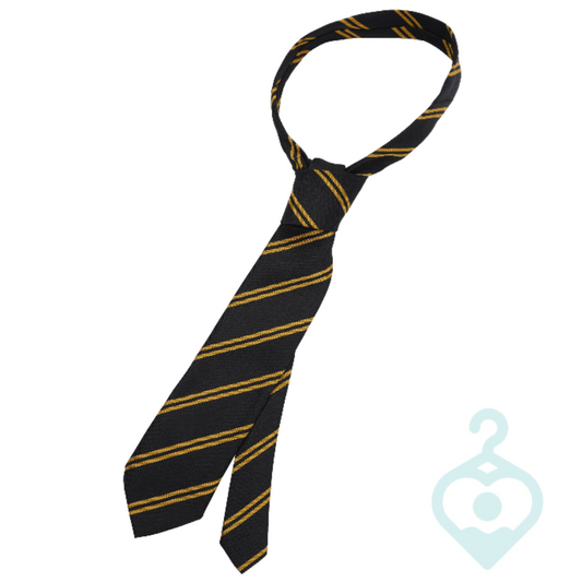 Shevington High Y11 Prefect Tie- Double Stripe