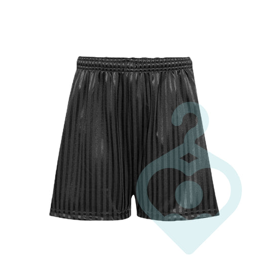 Black Shadow Stripe Primary PE Shorts