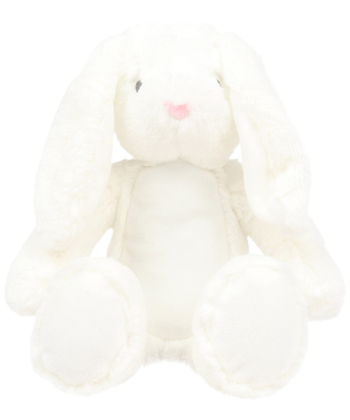 Personalised Printed Teddy