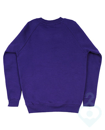 Shevington Vale Y6 Jumper