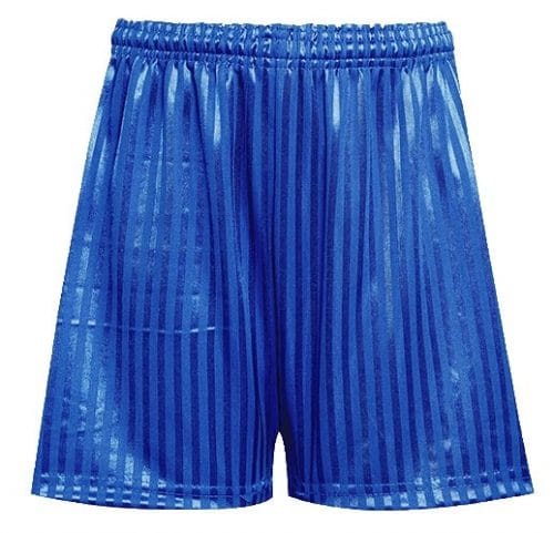 Royal Blue PE Shorts