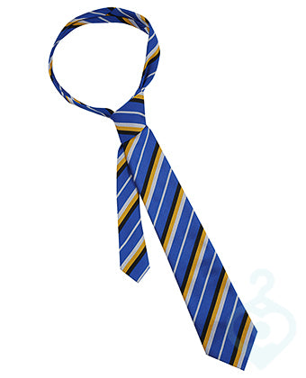 St Mary's Leyland Tie