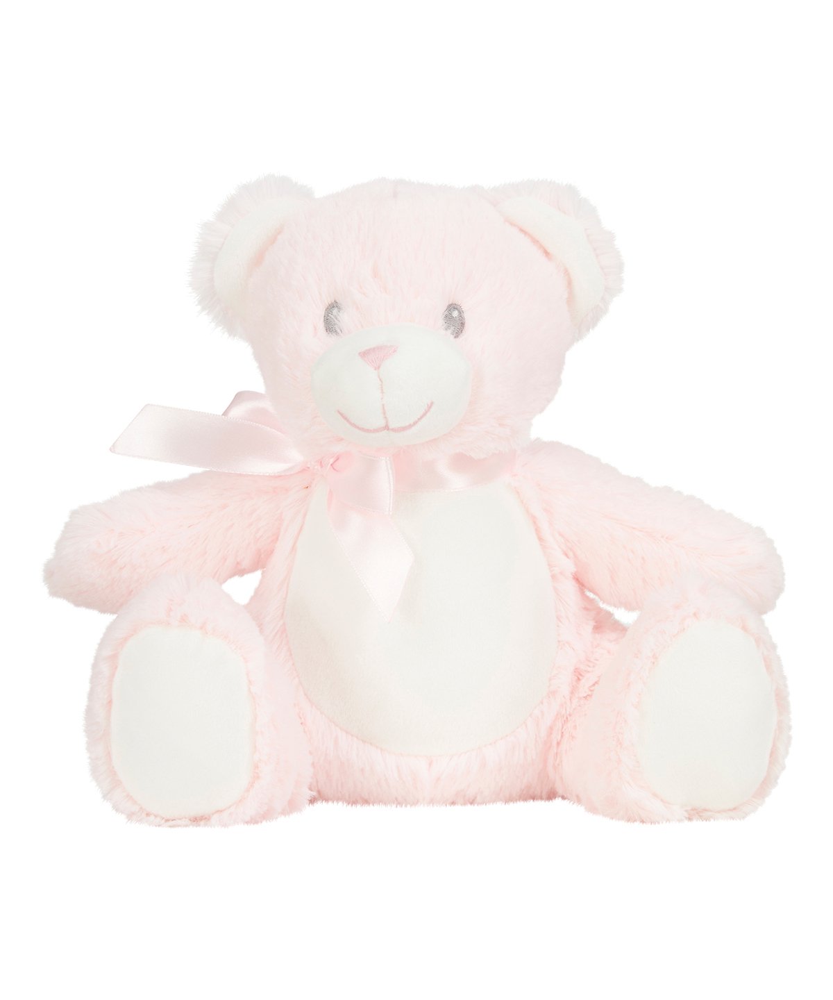 Personalised Printed Teddy