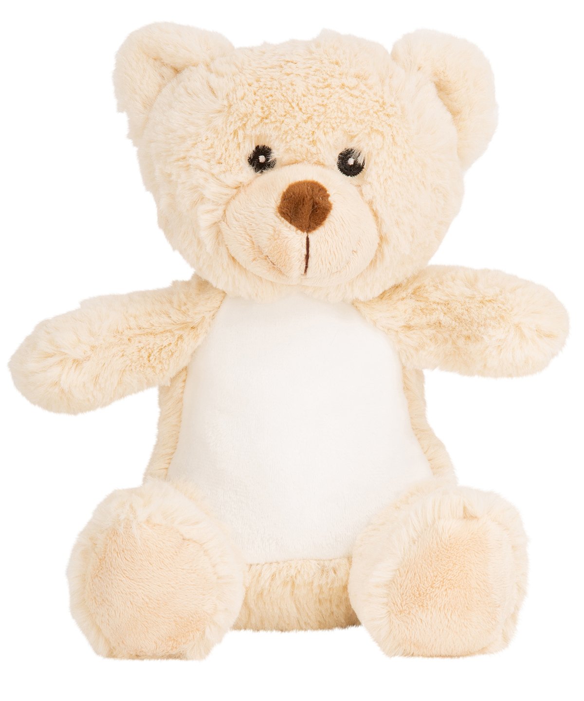 Personalised Printed Teddy