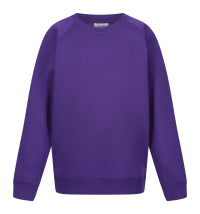 AppleBee Wood Crew Neck Purple Jumper